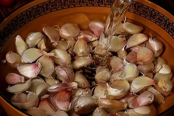 蒜苗的种植技术，适宜生长在肥沃的土壤中