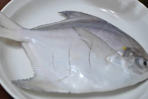 白鲳鱼有哪些做法,可清蒸也可香煎