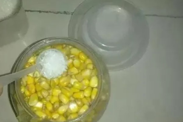 钓鲟鱼适合用什么打窝,选择原塘颗粒比较好