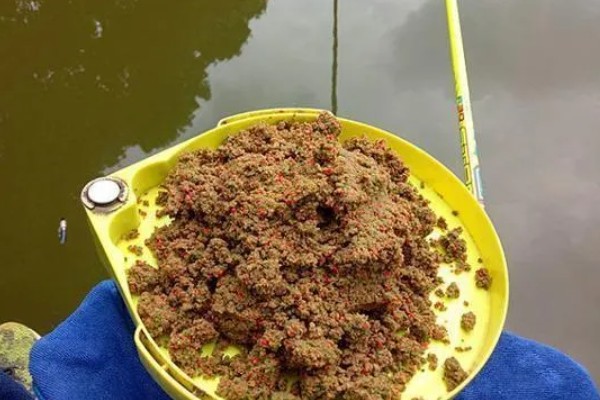 钓鲟鱼适合用什么打窝,选择原塘颗粒比较好