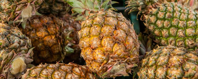 哪种菠萝又甜又好吃,牛奶菠萝、金钻菠萝等品种都有不错的口感