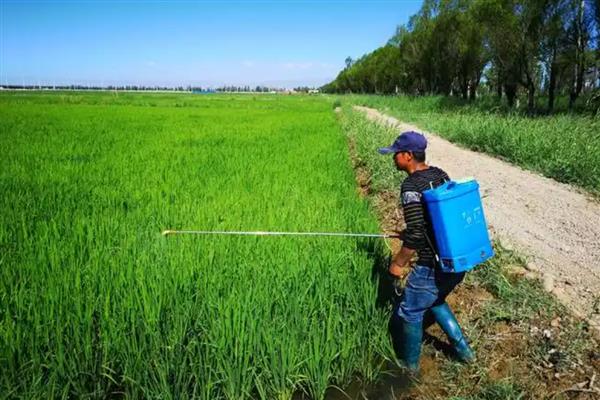 氯氟醚菊酯对人有哪些危害,具有一定的毒素