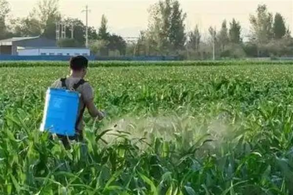 氯氟醚菊酯对人有哪些危害,具有一定的毒素