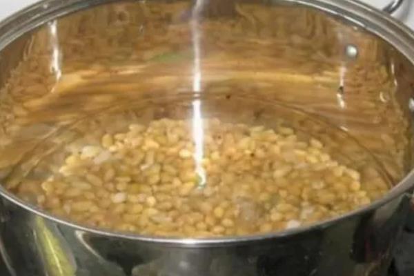 大豆怎样发酵当肥料,先用温水浸泡3个小时左右