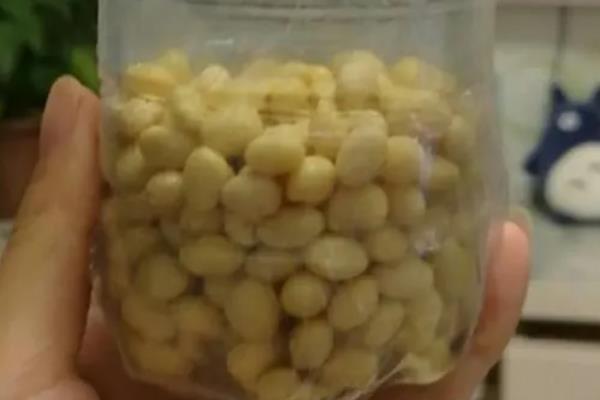 大豆怎样发酵当肥料,先用温水浸泡3个小时左右