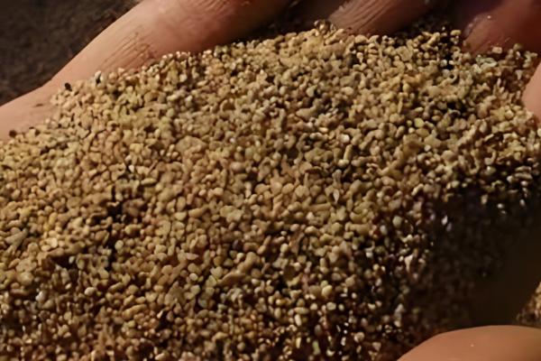 南瓜的播种时间，一般都在3-4月进行春播