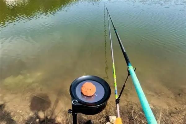 不能用泥鳅钓鱼的原因,会影响生态平衡、破坏原生水体