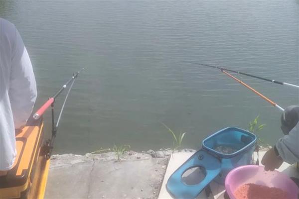 不能用泥鳅钓鱼的原因,会影响生态平衡、破坏原生水体