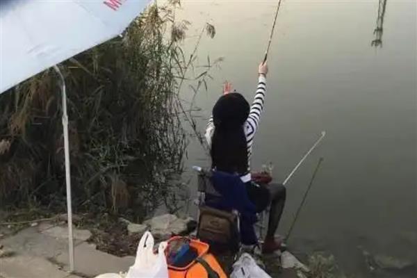 不能用泥鳅钓鱼的原因,会影响生态平衡、破坏原生水体