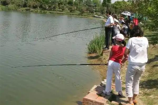 不能用泥鳅钓鱼的原因,会影响生态平衡、破坏原生水体