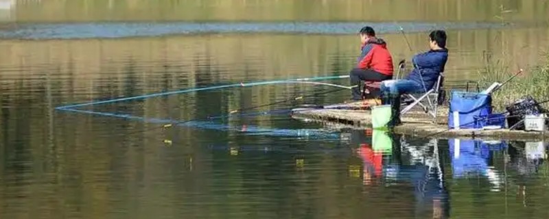 钓鲫鱼用什么饵料，不同季节选择不同的饵料