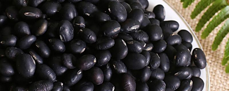 陕西省神木市的特产，有神木黑豆、神木绿豆粉皮等