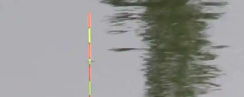 顿口漂相的简介，是指鱼吃饵时浮漂会有力下顿