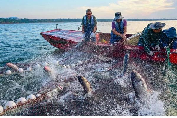 淡水渔业与海洋渔业的区别，养殖的地点不同