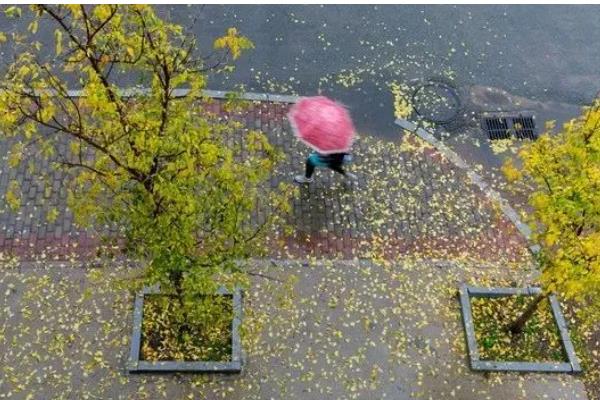 秋分和立秋哪个才算真正入秋，是指秋分