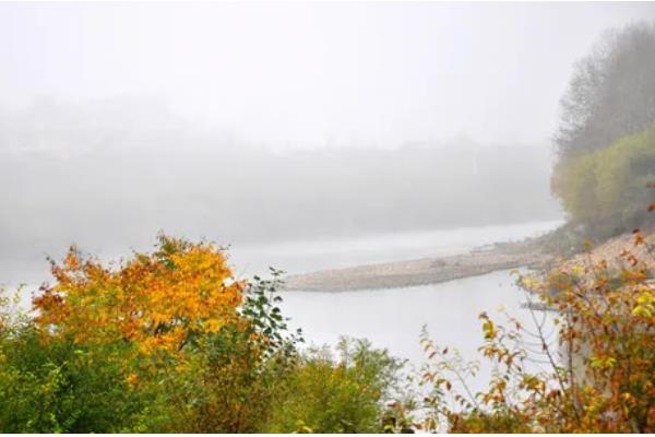 秋分和立秋哪个才算真正入秋，是指秋分