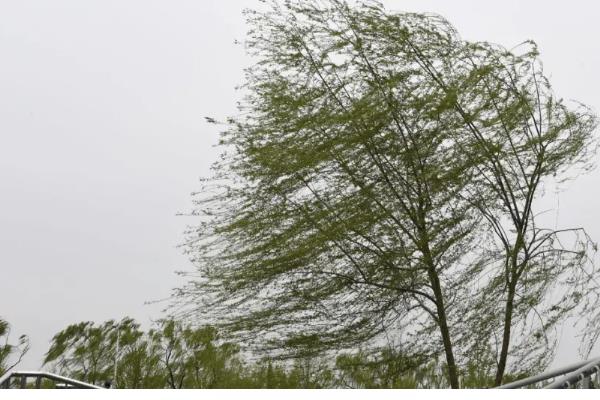 秋分和立秋哪个才算真正入秋，是指秋分