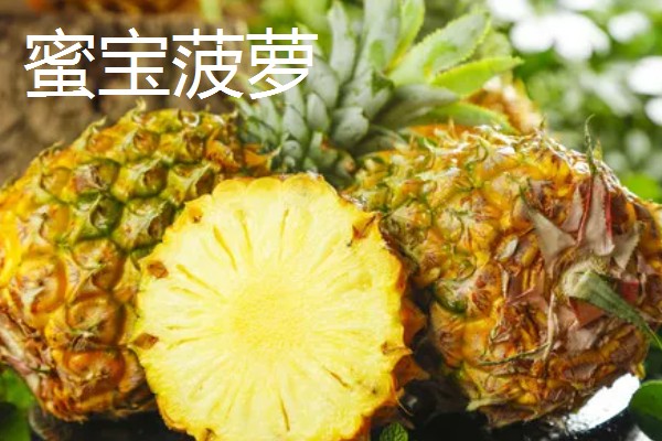 哪种菠萝又甜又好吃,牛奶菠萝、金钻菠萝等品种都有不错的口感