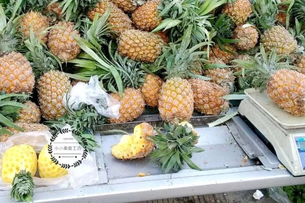 哪种菠萝又甜又好吃,牛奶菠萝、金钻菠萝等品种都有不错的口感