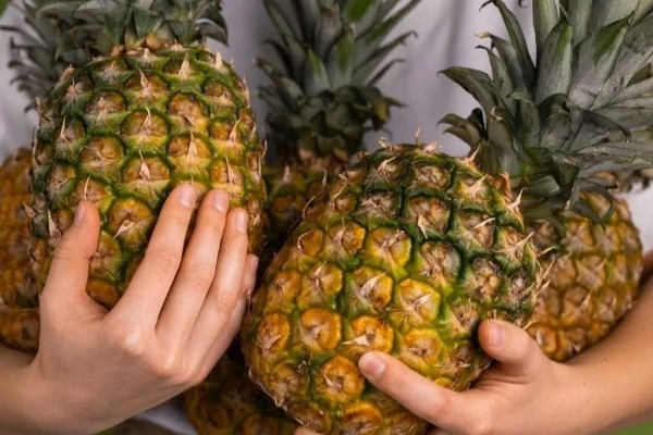哪种菠萝又甜又好吃,牛奶菠萝、金钻菠萝等品种都有不错的口感