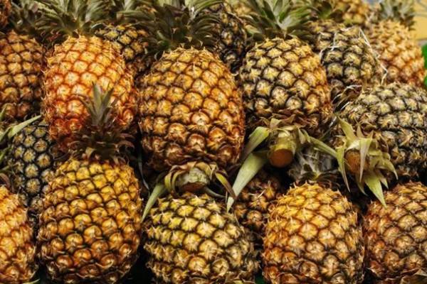 哪种菠萝又甜又好吃,牛奶菠萝、金钻菠萝等品种都有不错的口感
