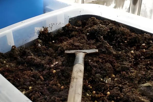 养花怎么施肥，按需施肥，薄肥勤施