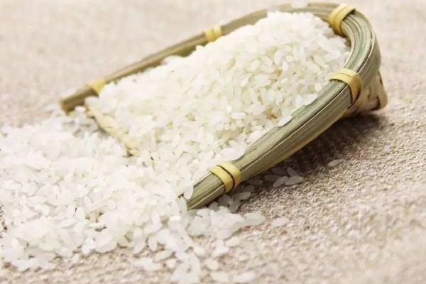 稻谷和水稻的区别,水稻结出的子实即为稻谷