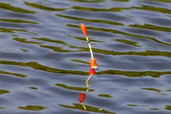 走水适合用七星漂还是立漂,钓点走水时用立漂的效果更好