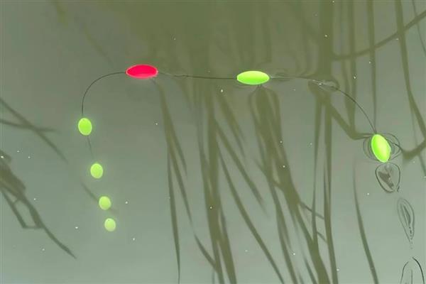 走水适合用七星漂还是立漂,钓点走水时用立漂的效果更好