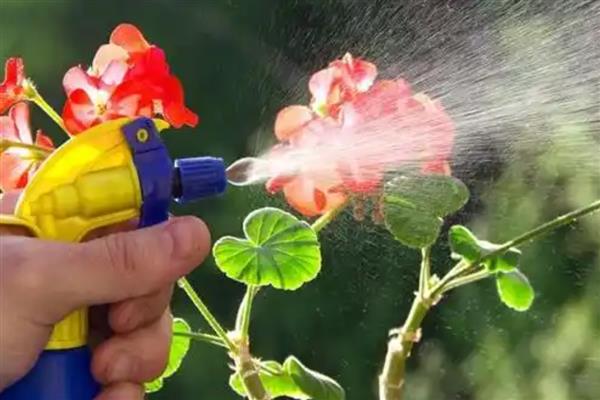 使用粮虫净要注意什么，使用后立即离开现场等完成熏蒸再通风