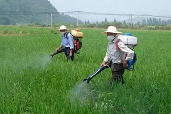 仲丁威怎么使用,一般是兑水喷雾