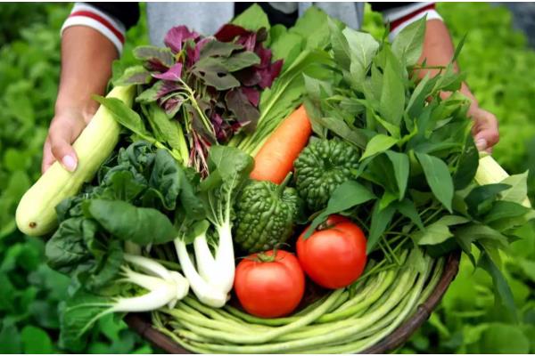 有机蔬菜是如何认证的,要填写有机食品认证申请书