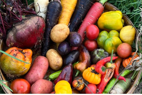 有机蔬菜是如何认证的,要填写有机食品认证申请书