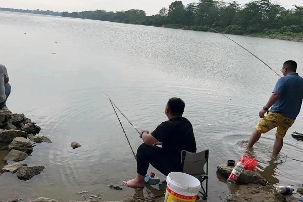闷热天钓鱼是钓深还是钓浅,钓浅更常见一些