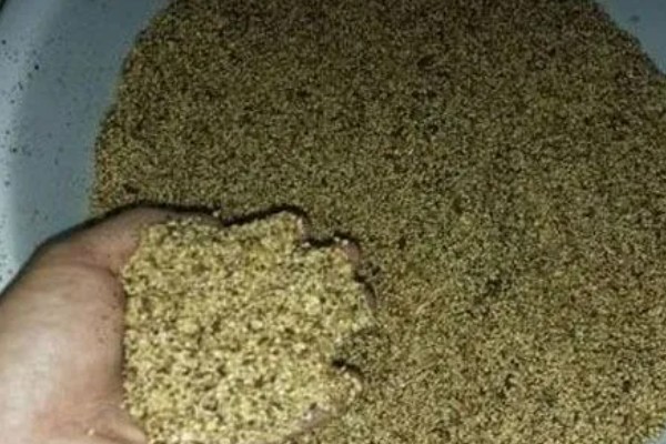 闷热天钓鱼是钓深还是钓浅,钓浅更常见一些
