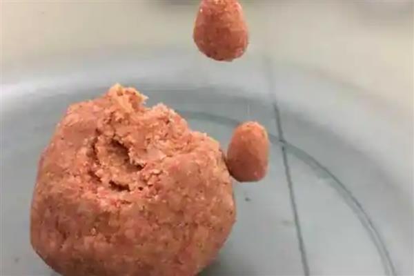 钓鲫鱼用什么饵料，不同季节选择不同的饵料