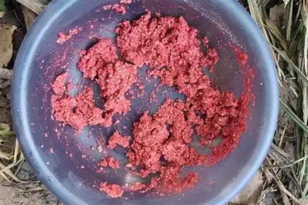 钓鲫鱼用什么饵料，不同季节选择不同的饵料