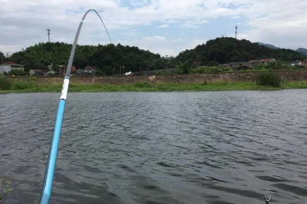 冬天选钓位的方法，向阳背风的位置是不错的选择