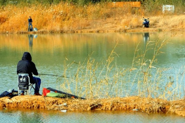 冬天选钓位的方法，向阳背风的位置是不错的选择