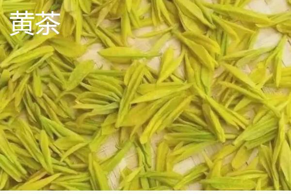 单枞茶是什么类型，属于青茶品种之一