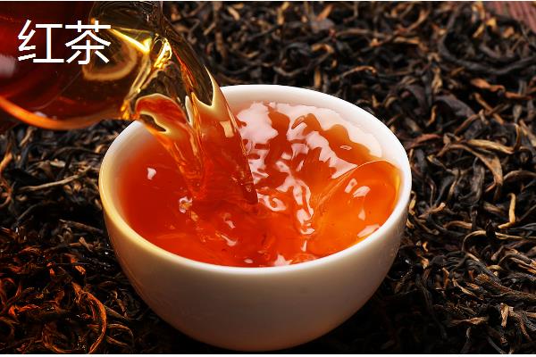 单枞茶是什么类型，属于青茶品种之一