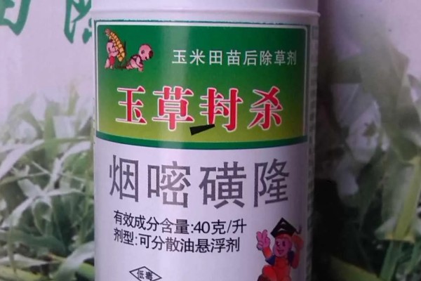烟嘧磺隆与烟嘧莠去津的区别，其作用原理不同