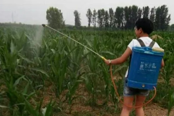 烟嘧磺隆与烟嘧莠去津的区别，其作用原理不同