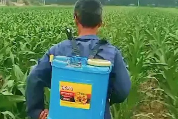 烟嘧磺隆与烟嘧莠去津的区别，其作用原理不同