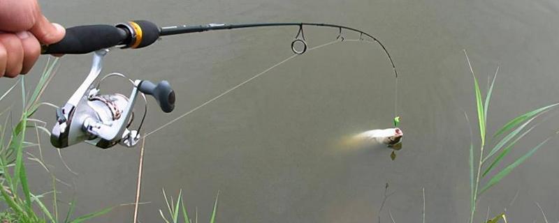 十月份钓草鱼钓底还是钓浮，大多数情况下钓底