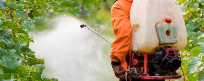 生物杀虫剂的运用禁忌,忌用劣质药剂