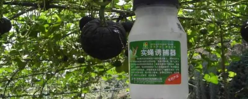 性引诱剂是什么防治，属于生物防治