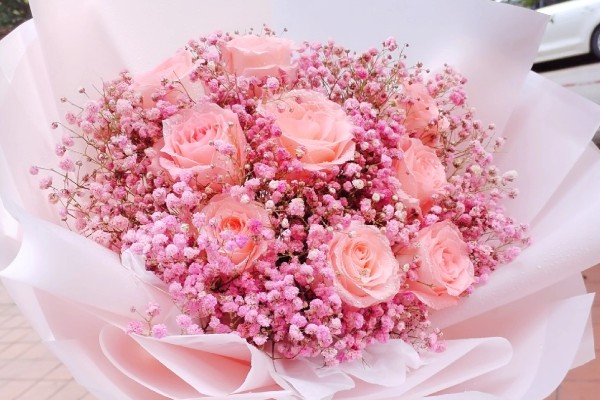 粉红色玫瑰花的寓意,寓意美好初恋、爱的宣言等