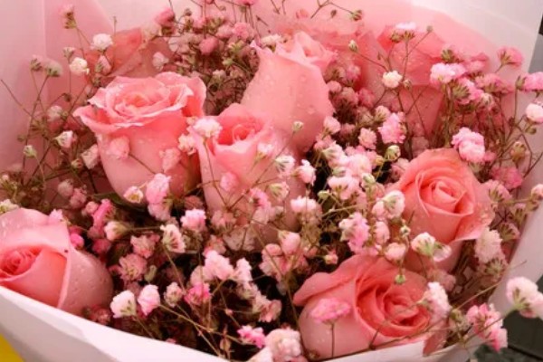 粉红色玫瑰花的寓意,寓意美好初恋、爱的宣言等