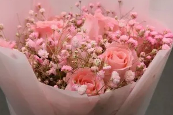 粉红色玫瑰花的寓意,寓意美好初恋、爱的宣言等